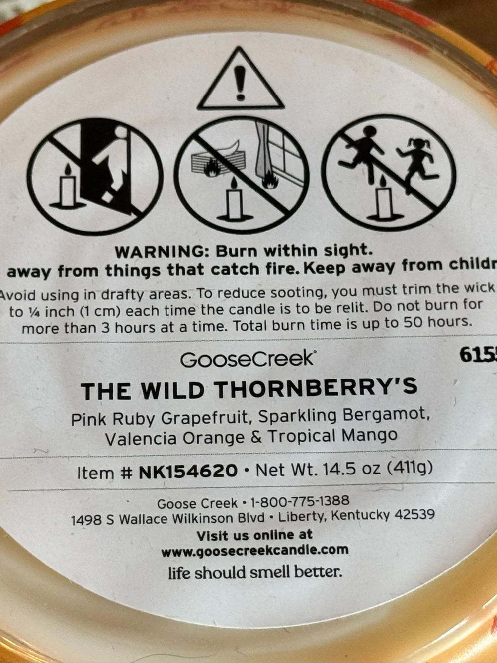 NEW The Wild Thornberry's Nickelodeon 3-Wick Candle by Goose Creek